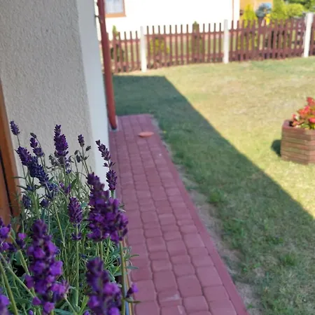 Ocyplovedomki, - Bory Tucholskie, Balia Prázdninový dům *